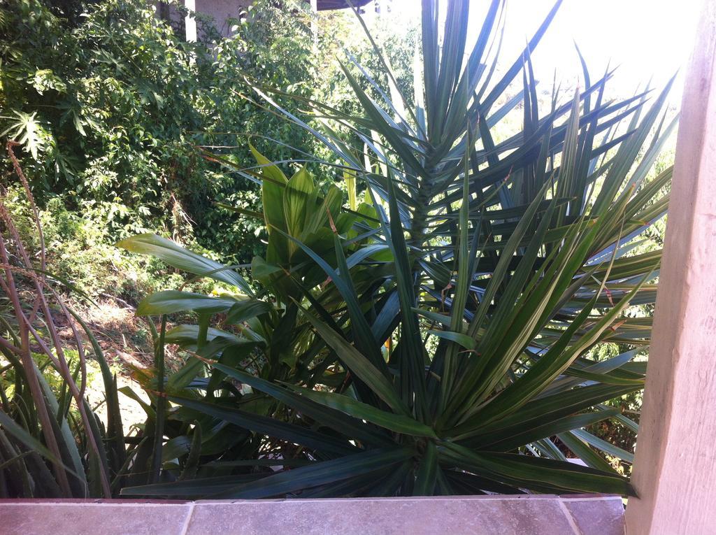 Sunset Gardens Guesthouse Contant  Buitenkant foto